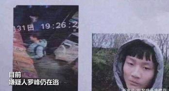 家庭纠纷新闻爆料,邻里矛盾引发社区关注