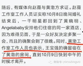 马蓉方最新爆料,揭秘王宝强婚姻内幕惊人真相